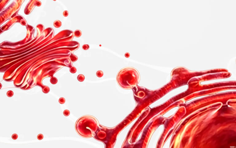 Unlocking the Cathepsin Family: From Lysosomal Guardians to Precision Therapeutic Targets